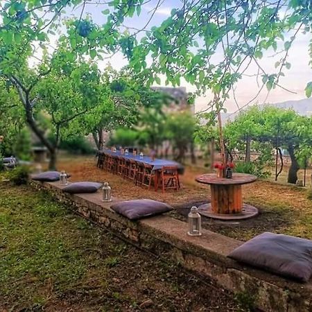 Domus Narnia Hostel ภายนอก รูปภาพ